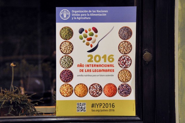 Cena FAO_05.12.16_24